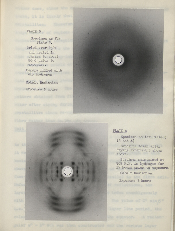 PhD thesis, ‘X-ray Diffraction Studies of Deoxyribose Nucleic Acid’, by Raymond Gosling, 1954. Gosling worked initially with Maurice Wilkins and subsequently Rosalind Franklin, undertaking x-ray diffraction experiments and structural analysis. Gosling’s thesis, illustrated with photographs of the equipment that he and Franklin used, is a meticulous account of the work that produced the famous photograph of the double-helix structure of DNA.